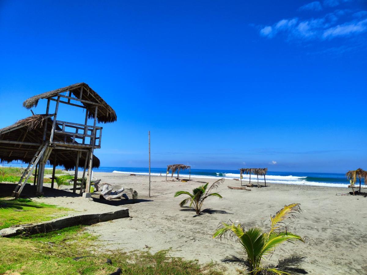 Hotel Punta Azul ペデルナレス エクステリア 写真