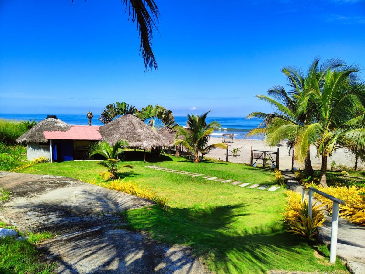 Hotel Punta Azul ペデルナレス エクステリア 写真